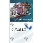 Cavallo Black Wings